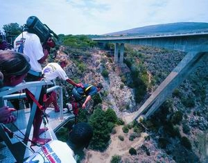 African attractions like bungi jumping along the Garden Route