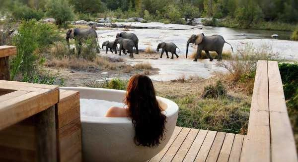 A safari bath at Londolozi