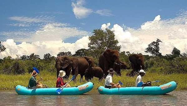 Canoe safari on the Zambezi