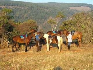 Horse-riding Safari