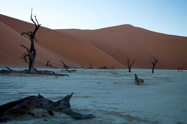 Dead Vlei (Sossusvlei, Namibia)