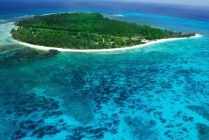 Denis Island coral reefs - Diving in the Seychelles