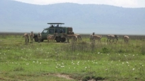 Ngorongoro Crater floor - game-viewing