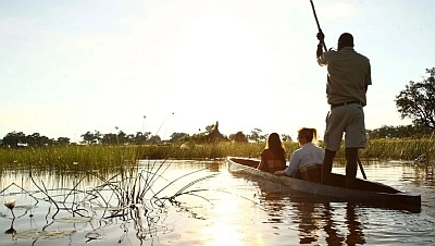 Mekoro in the Okavango Delta