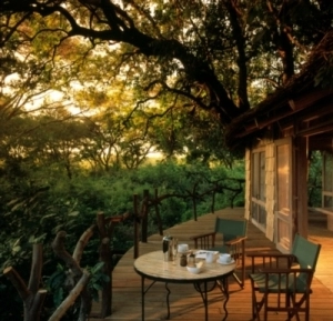 Lake Manyara Tree Lodge - Tree House deck