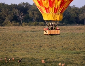 Serengeti Under Canvas - hot air balloon safari