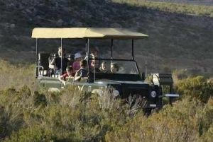 On safari at Aquila Game Reserve near Cape Town