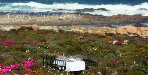 Eco-Conference with a difference - on the beach or in the bush