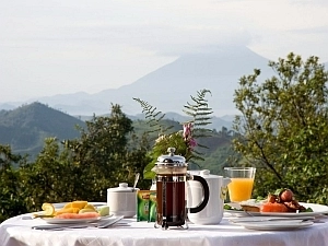 Breakfast in the Clouds at Clouds Mountain Gorilla Lodge