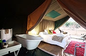 Conference accommodation in the bush