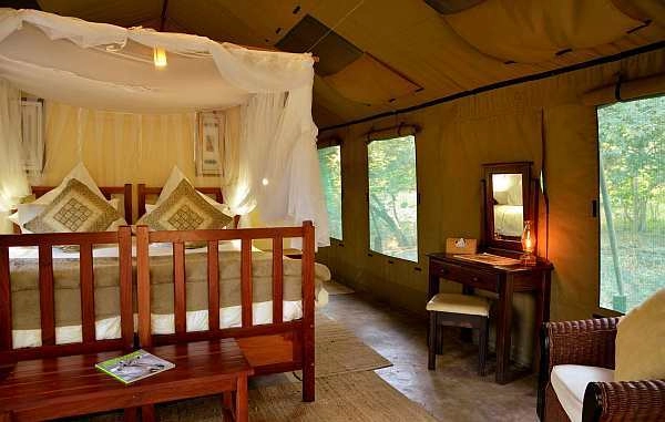 Elephant Valley Lodge - Forest Tent