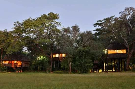 Ivory Lodge Tree house accommodation