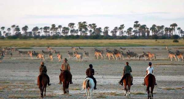 Horse riding with Zebra in Makgadikgadi Pans