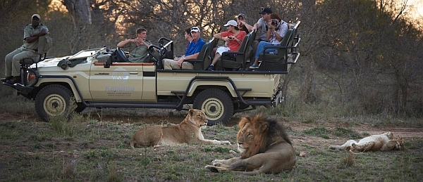 Kapama Kruger Safari - get close to lions