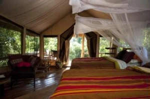 Primate Lodge Safari tent accommodation