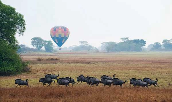 Hot air balloon safari at Busanga Bush Camp in Kafue National Park
